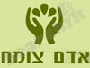 אדם צומח 