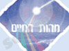 מהות החיים 