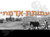 עמותת אדמתי 