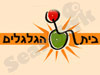 אגודת ש``י 