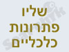 שליו פתרונות כלכליים