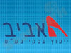 אביב יעוץ עיסקי 
