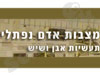 מצבות אדם 