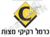 כרמל רקיקי מצות