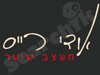 אודי רייס 