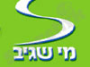 מי שגיב 