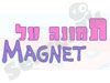 תמונה על מגנט