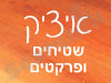 איציק שטיחים ופרקטים