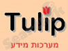 Tulip Information Systems 