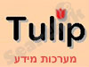 Tulip Information Systems