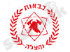 שירותי כבאות והצלה 