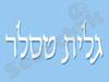 גלית טסלר