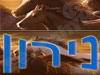נירון