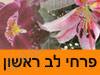 פרחי לב ראשון