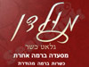 מולדן 