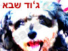 ג'וד שבא