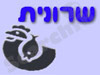 שרונית 