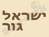 ישראל גור 