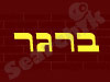 שרה ברגר 