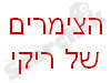 הצימרים של ריקי