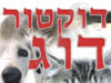 דוקטור דוג