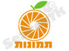 תמונות 