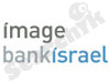 imagebank