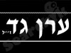 ערן גד 