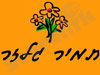 תמיר גלזר