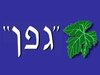 גפן