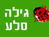 גילה סלע 