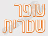 עופר שיטרית 