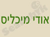 אודי מיכליס