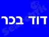 דוד בכר