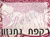 רקפת נתנזון מרום 