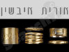 אורית איבשין 