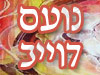 נועם דוייב 