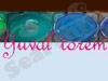 יובל טורם 