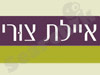 איילת צורי