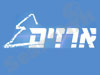 ארזים 