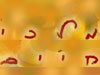 מלכי חיים