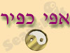 אפי כפיר 