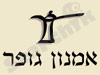 אמנון גופר 