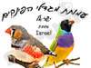 מגדלי הפנקים