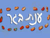 ענת בגר 
