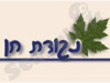 נקודת חן 