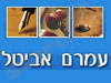 עמרם אביטל