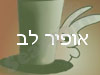 חנות הקסמים של אופיר לב 