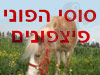 סוסי הפוני פיצפונים