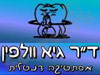 דר' גיא וולפין 
